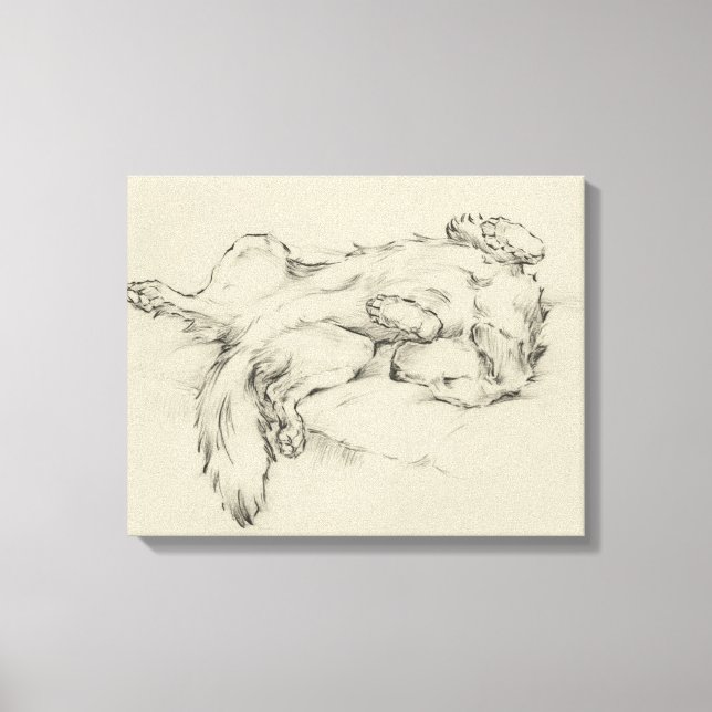 Lienzo Perro Cansado (Anverso)