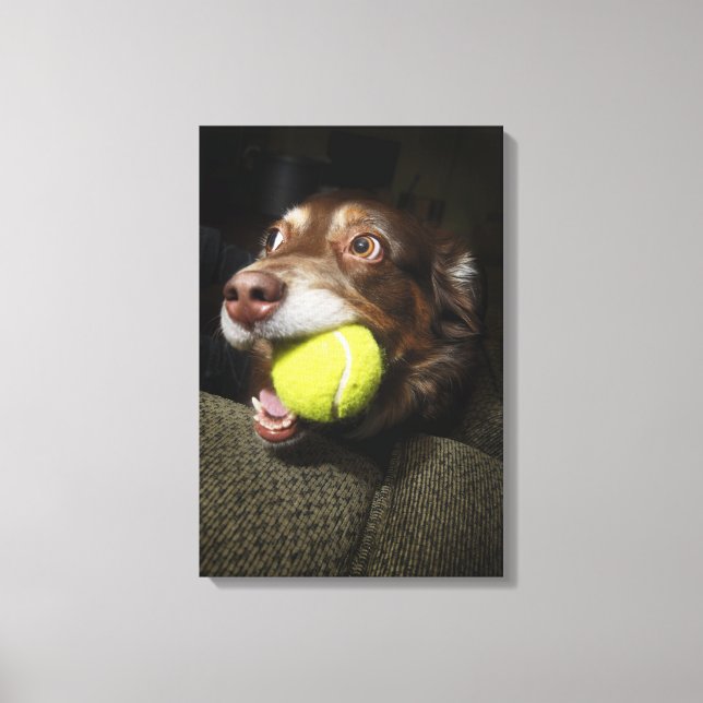 Lienzo Perro con bolas de tenis (Anverso)