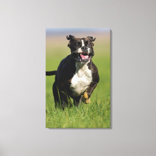 Lienzo Perro corriendo 2 (Anverso)