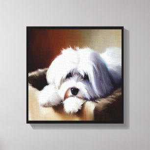 Lienzo Perro Coton de Tulear