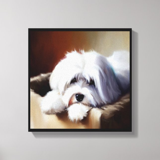Lienzo Perro Coton de Tulear (Anverso)