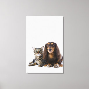 Lienzo Perro (Dachshund) y gato (gato japonés) en blanco