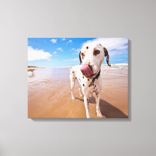 Lienzo Perro Dalmatiano En La Playa (Anverso)
