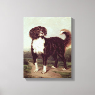 Lienzo Perro de aguas