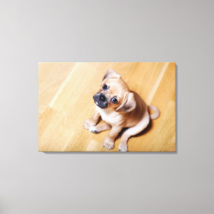 Lienzo Perro de aguas de rey arrogante cruzado Charles