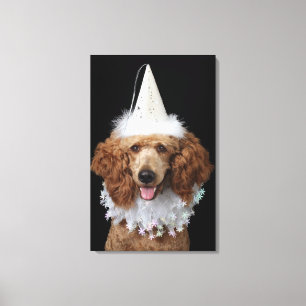 Lienzo Perro de caniche de oro que lleva un traje blanco