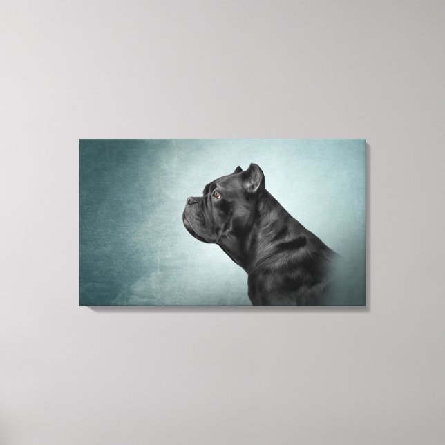 Lienzo Perro de dibujo Cane Corso - Mastiff italiano (Anverso)