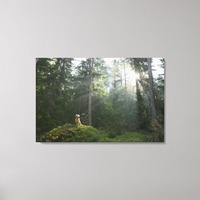 Lienzo Perro de Golden Retriever | Pine Woodland (Anverso)