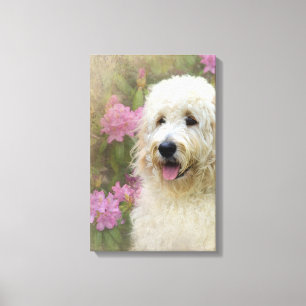 Lienzo perro de goldendoodle rubio en el jardín
