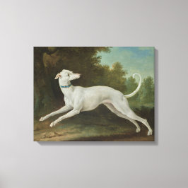 Lienzo Perro de Greyhound blanco (por Jean-Baptiste Oudry