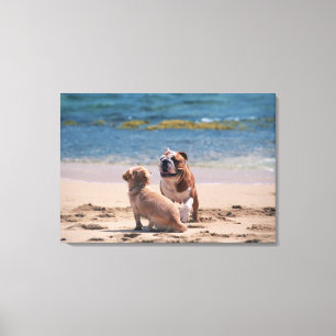 Lienzo Perro de la playa de Sandy 2