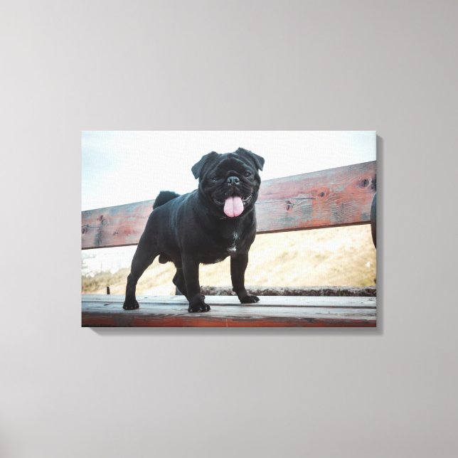 Lienzo Perro de pug gracioso (Anverso)