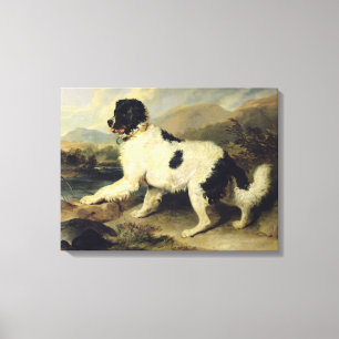 Lienzo Perro de Terranova llamado León, 1824 (aceite en l