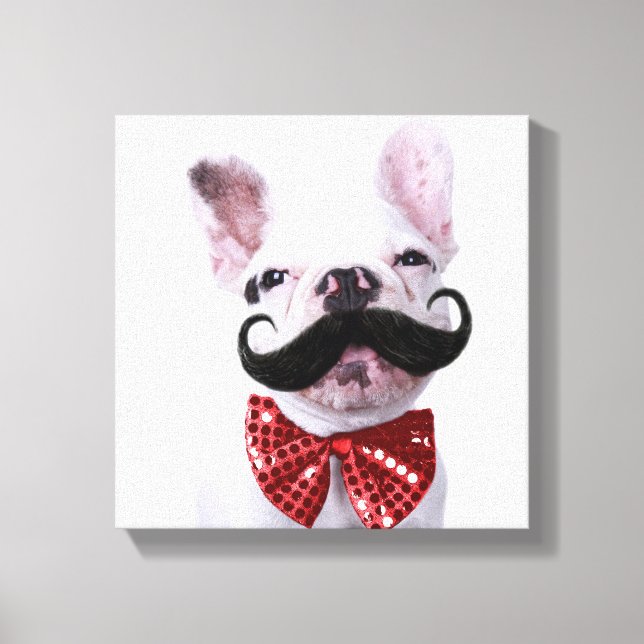 Lienzo Perro de toro francés cachorro con bigote (Anverso)