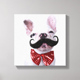 Lienzo Perro de toro francés cachorro con bigote
