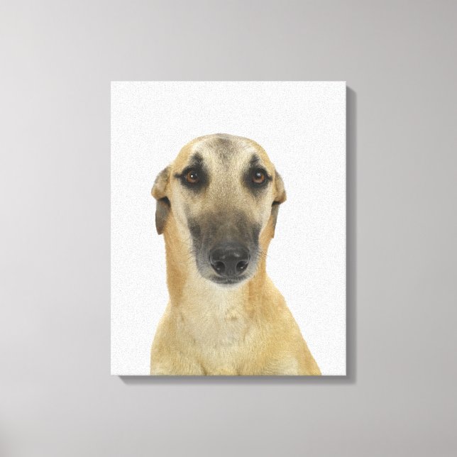 Lienzo Perro en blanco 41 (Anverso)