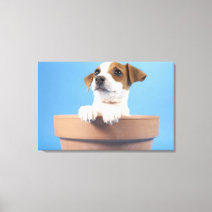Lienzo Perro en maceta