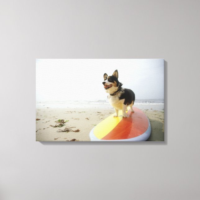 Lienzo Perro en tabla de surf (Anverso)