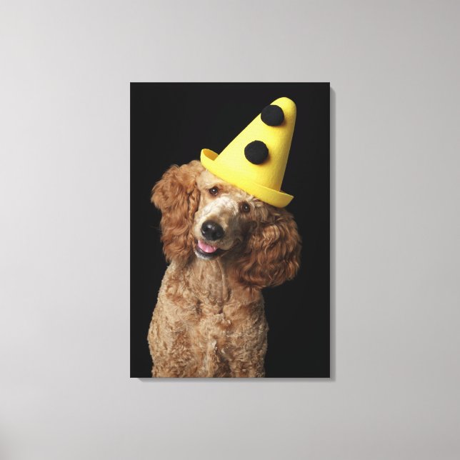 Lienzo Perro Golden Poodle con gorra de payaso amarillo (Anverso)