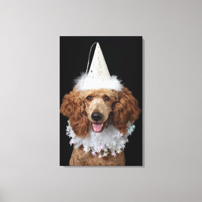 Lienzo Perro Golden Poodle con traje de payaso blanco (Anverso)