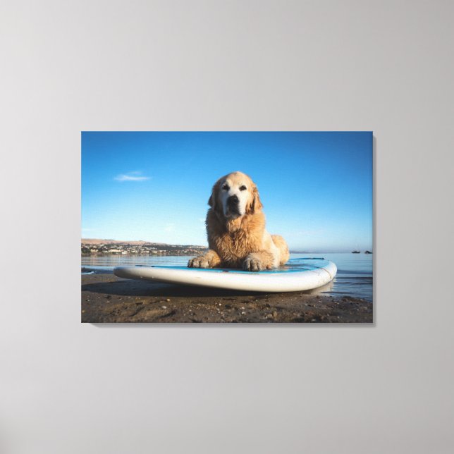 Lienzo Perro Golden Retriever Sobre Una Tabla De Remo (Anverso)