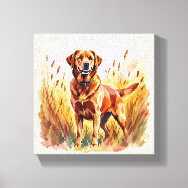 Lienzo Perro Labrador Retriever Fox Rojo (Anverso)
