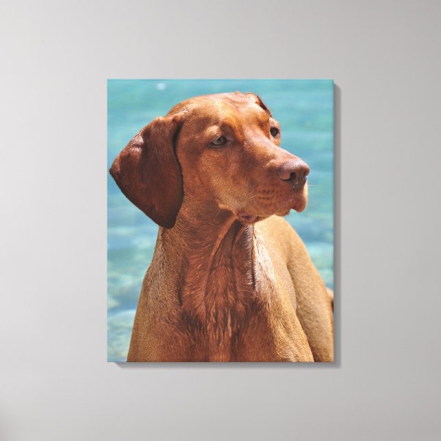 Lienzo Perro Magyar Vizsla (Anverso)
