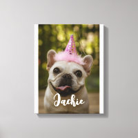 Perro mascota personalizado