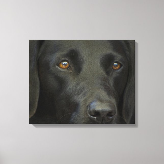 Lienzo Perro negro del labrador (Anverso)