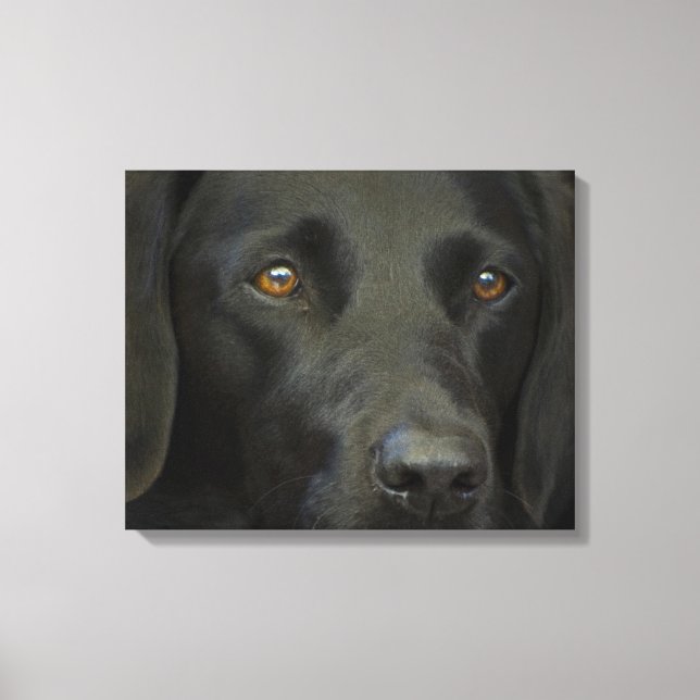 Lienzo Perro negro del labrador (Anverso)