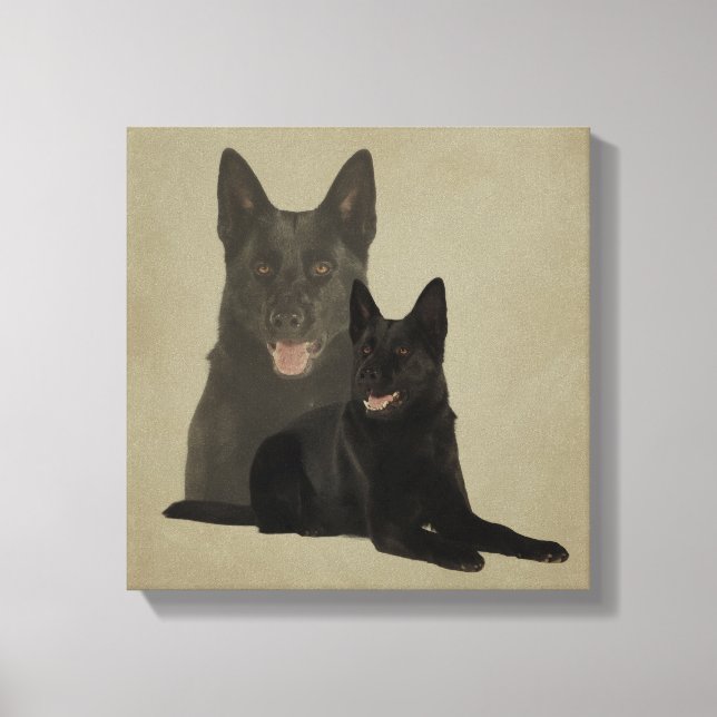 Lienzo Perro pastor alemán negro - GSD (Anverso)