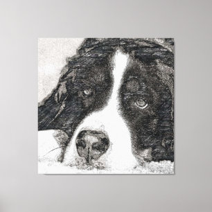 Lienzo Perro, perro hembra, perro de montaña de Bernese