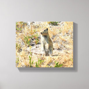 Lienzo Perro Prairie en Yosemite, CA