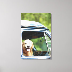 Lienzo Perro que se sienta en coche