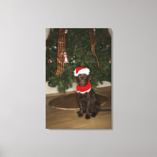 Lienzo Perro que se sienta por un árbol de navidad