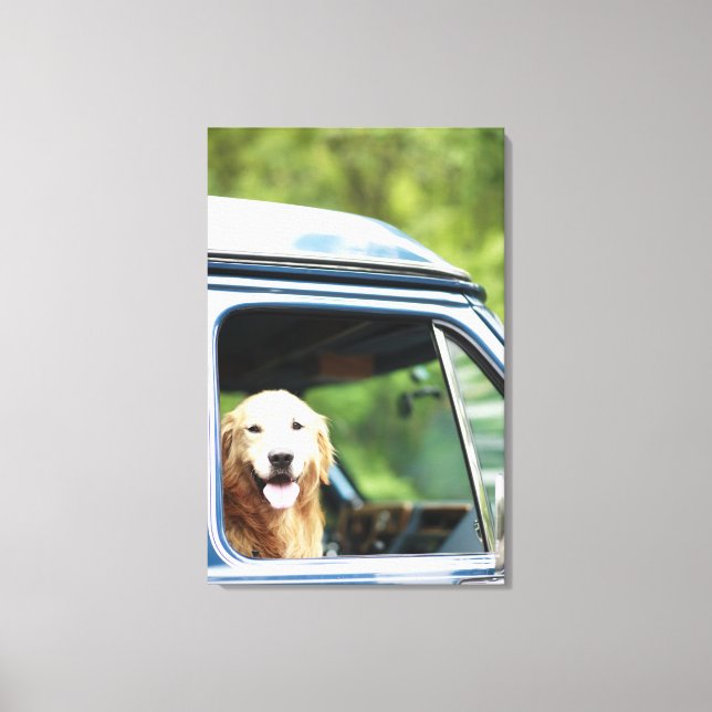 Lienzo Perro sentado en el auto (Anverso)