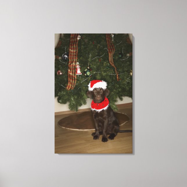 Lienzo Perro sentado junto a un árbol de Navidad (Anverso)