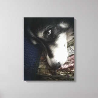 Lienzo Perro somnoliento