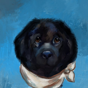 Lienzo Perro Terranova