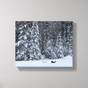 Lienzo Perros B&W en Snow Meadow