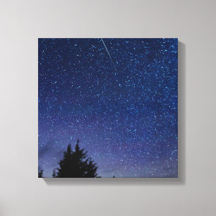 Lienzo Perseid Meteor Shower
