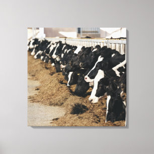 Lienzo Perspectiva de disminución de las cabezas de la