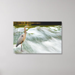 Lienzo Pesca de garza en las Cataratas Olmstead, Ohio