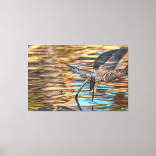 Lienzo Pesca de garza nocturna de corona negra