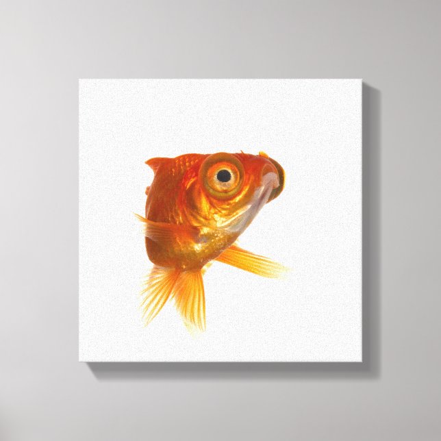 Lienzo Pesca de oro con ojos grandes 3 (Anverso)