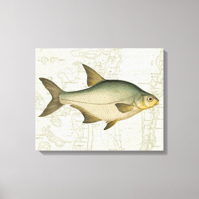 Lienzo Pescado de agua dulce en el mapa (Anverso)