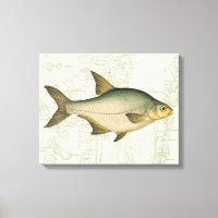 Pescado de agua dulce en el mapa