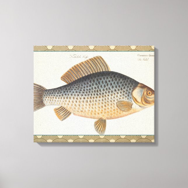 Lienzo Pescado de carpa pescar pintura de agua dulce (Anverso)