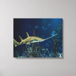 Lienzo Pescado de espada único