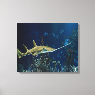 Lienzo Pescado de espada único